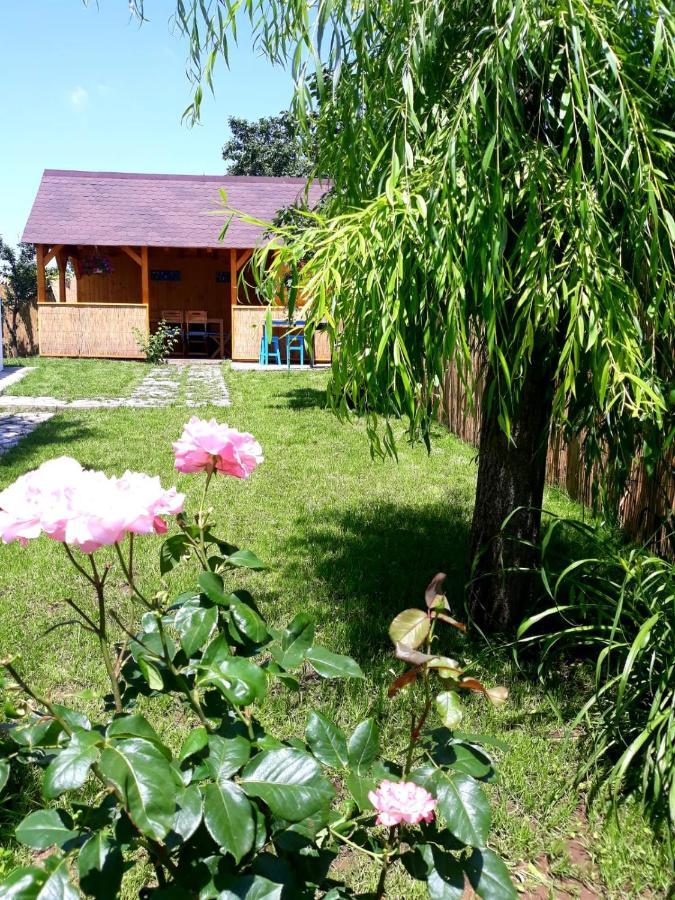 Casa Pavel Jurilovca Villa Eksteriør billede